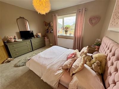 Picture 19